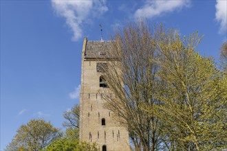 A historic bell tower against a blue sky and surrounded by spring trees, historic houses and a