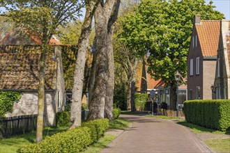 Idyllic village street with traditional houses, high trees and hedges, sunny spring day, historic