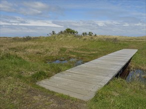 Wooden footbridge over a meadow under a cloudy sky, dune and beach by the sea with footpaths, grass
