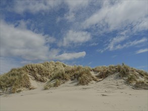 Sunny beach with sand dunes and reeds under a blue sky with clouds, dunes by the sea with clouds in