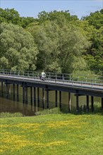 Cyclist, bridge over the Sude, Elbe cycle path, Gothmann district, Boizenburg,