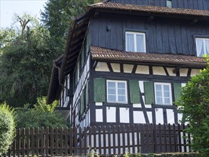 Traditional half-timbered house with black and white facade and green shutters surrounded by