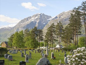 Cemetery with numerous graves and tall trees in front of a majestic mountain backdrop, gravestones