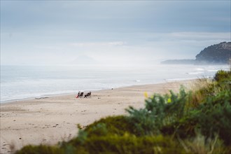 Man and woman sitting on the beach watching the sunset, rocky landscape in the background. Taken at