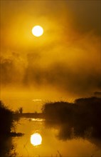 Morning atmosphere, fog, sunlight, backlight, water, Lower Austria