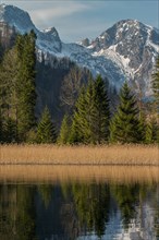 Reflection of the mountains and trees in a calm lake with a clear sky. View from the Almsee to the