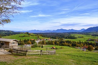 View from the Schoenegger Kaesealm over the Ammergau Alps, near Rottenbuch, Wildsteig, Upper