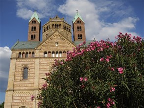 Church with towers and blooming rose bush in the foreground under blue sky with clouds, blooming