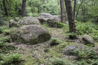 Large stone tomb from the Neolithic period, Holte-Lastrup, Emsland, Lower Saxony, Germany, Europe