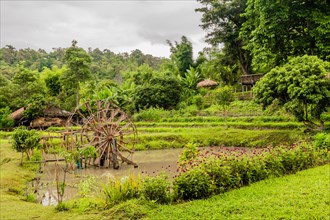 Two wooden turbine baler water wheels in rice paddy at Thai mountain cultural village in Chiang