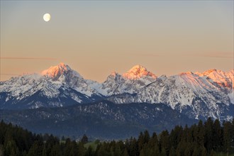 Allgaeu Alps, view from Hegratsrieder See, snow, dawn, moon, Allgaeu, Bavaria, Germany, Europe