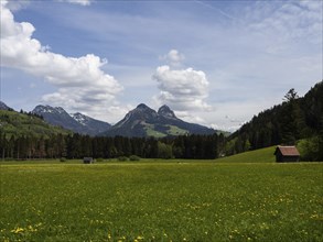 Meadow at the edge of the forest, hay barn, cloudy mood over mountain peaks, near Bad Mitterndorf,