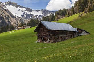 Wooden hut near Baad, snow-covered mountains behind, Kleinwalsertal, Vorarlberg, Austria, Europe
