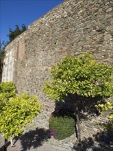 High stone wall of an old ruin surrounded by bushes with yellow leaves on a sunny day, stone walls