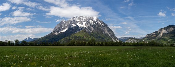 Flower meadow, behind the Grimming, panoramic view, near Irdning, Styria, Austria, Europe