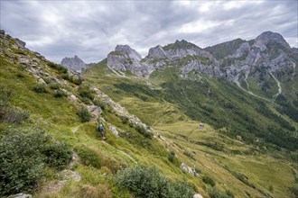 Mountaineer on a narrow hiking trail on a steep meadow slope, descent from the Raudenspitze, view
