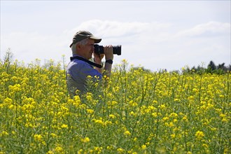 Rapeseed field, photographer, May, Saxony, Germany, Europe