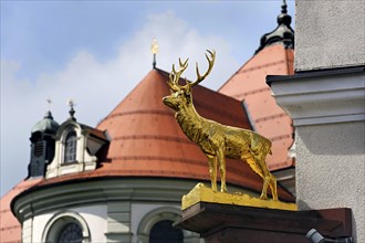 Nose shield, golden Hirsvh, Ottobeuren, Allgaeu, Swabia, Bavaria, Germany, Europe