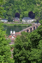 View from the Koenigstuhl station of the mountain railway to Heidelberg with the Old Bridge,