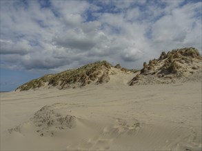 Wide sand dune landscape under a sky with threatening clouds, beach and dunes with grass and a