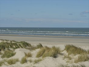 Coastal landscape with dunes and grass, sea view under a clear blue sky, beach and dunes with grass