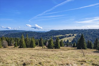 Natural panorama with wooded hills under a clear blue sky and white clouds, Feldberg, Germany,