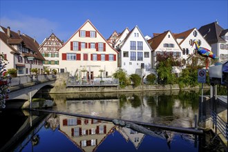 Danube in Riedlingen, Swabian Alb, Upper Danube, Upper Swabia, Swabia, Baden-Wuerttemberg, Germany,