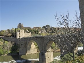 Stone bridge with arches over a river, in the foreground a bare tree, surrounded by cityscape and