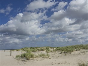 Grassy dunes on the beach under a cloudy blue sky, lonely beach with dune grass in the neighbouring
