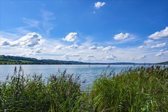 View over a calm lake with water sportsmen surrounded by green grass and a blue sky with clouds,