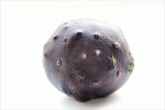 Zanzibar yam or Zanzibar yam (Dioscorea sansibarensis), tuber on a white background