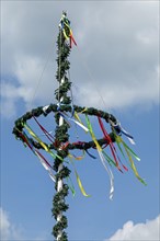 Maypole, Boizenburg, Mecklenburg-Vorpommern, Germany, Europe