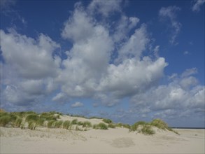 Sand dunes with tufts of grass under a blue sky with white clouds, sand dune with dune grass on a