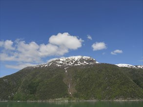 Wide view of snow-capped mountains under a wide blue sky, greenish shimmering water in a fjord with