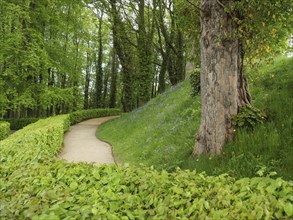 A winding path flanked by hedges and trees in spring woodland, small footpath among green trees,