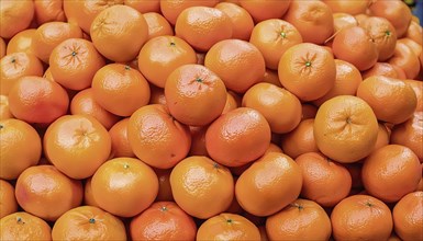 Many ripe mandarins AI generated, AI generated