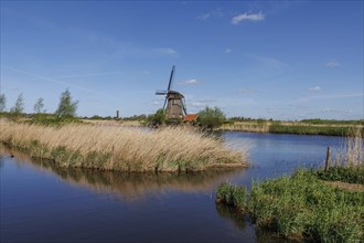 A windmill stands on the riverbank, surrounded by reeds and nature under a clear sky, many historic