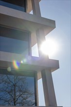 Modern Design Building with Tree Reflection and Against Clear Blue Sky and Sunlight with Lens Flare
