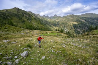 Mountaineer at Niedergailer Joch, mountain landscape with green mountain meadows and mountain