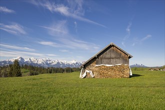 Wooden hut near Fuessen, woodpile, Allgaeu Alps, snow, meadow, Allgaeu, Bavaria, Germany, Europe