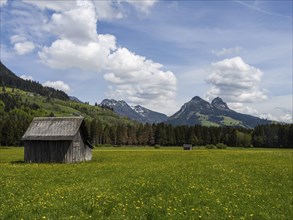 Hay barn in meadow at the edge of the forest, cloudy mood over mountain peaks, near Bad
