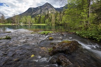 Christlessee, near Gottenried, Trettachtal, Oberstdorf, Oberallgaeu, Allgaeu, Bavaria, Germany,