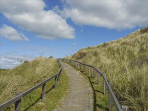 Narrow winding path with wooden railings through grassy dunes under a blue sky with clouds, dune