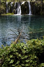 A waterfall falls into a clear, calm pond, surrounded by green plants and a piece of wood on the