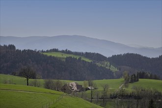 Mountains and trails in the Black Forest, Kandel, Baden-Wuerttemberg, Germany, Europe