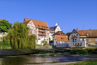 Danube in Riedlingen, Swabian Alb, Upper Danube, Upper Swabia, Swabia, Baden-Wuerttemberg, Germany,