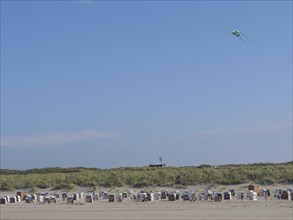 Beach view with numerous beach chairs in front of the dunes, a green kite flies in the sky, dunes