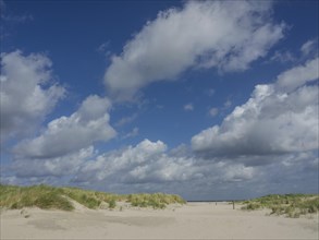 Beach landscape with grass dunes and a wide sky with clouds, sunny, sand dune with dune grass on a