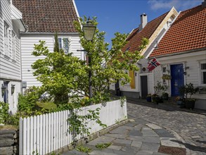 White house with red tiled roof and norwegian flag, a green tree and cobblestone street on a sunny