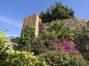 Old stone castle overgrown with ivy and bougainvillea, surrounded by lush vegetation and palm trees